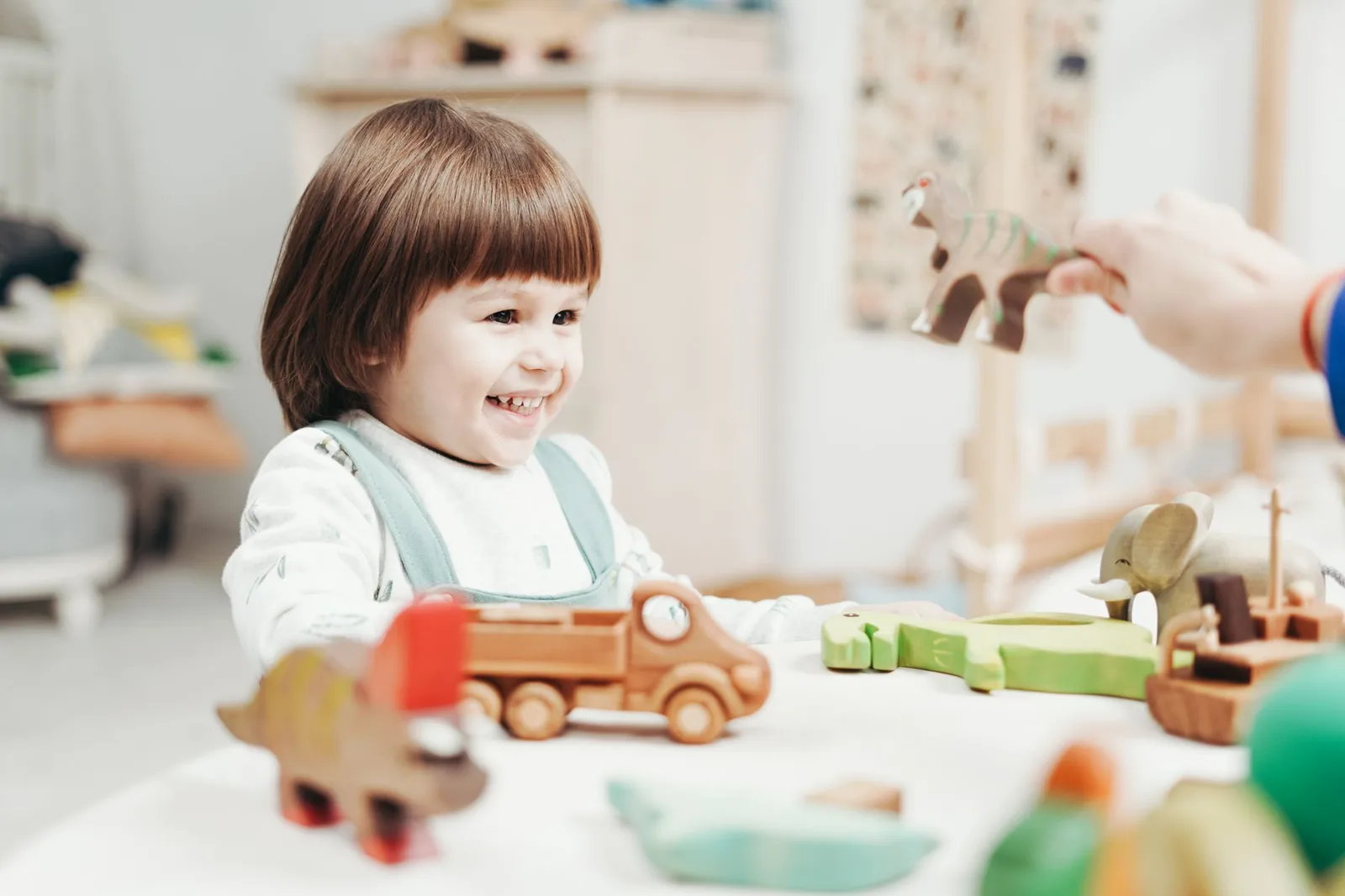 Jouets éducatifs en bois