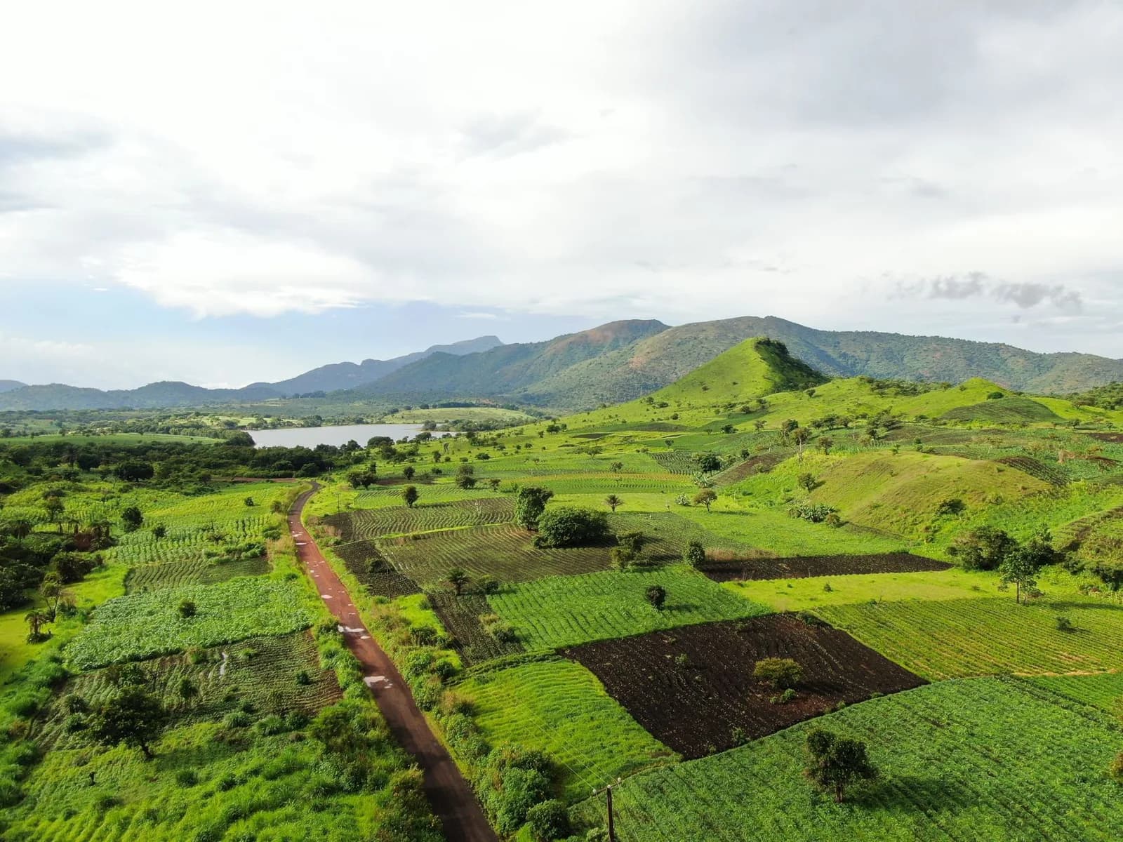 Excursion fluviale sur l'Oubangui